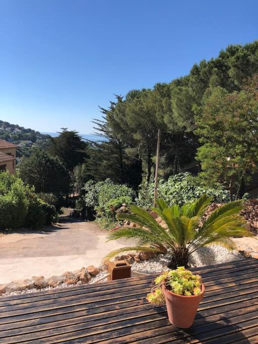 Maison St Clair Vue Mer Sète Buitenkant foto